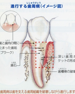 img056.jpg